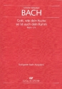 Gott wie dein Name so ist auch dein Ruhm Kantate Nr.171 BWV171 Stimmensatz (Streicher 4-4-3-4)