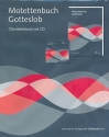 Motettenbuch zum Gotteslob Paket (Chorleiterband +CD)