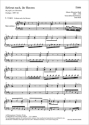 Erfreut euch, ihr Herzen  Kantate Nr.66 BWV66 Orgel