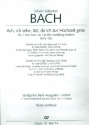 Ach ich sehe itzt da ich zur Hochzeit gehe Kantate Nr.162 BWV162 Basso continuo