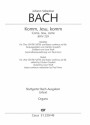 Komm, Jesu, komm BWV229 fr gem Chor (SATB/SATB) und bc ad lib. Orgel