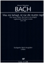 Was mir behagt, ist nur die muntre Jagd Kantate Nr.208 BWV208 Partitur