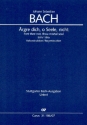 rgre dich o Seele nicht (Rekonstruktion) Kantate Nr.186a BWV186a Studienpartitur (en/dt)