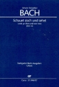 Schauet doch und sehet Kantate Nr.46 BWV46 Studienpartitur (dt/en)