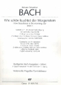 Wie schn leuchtet der Morgenstern Kantate Nr.1 BWV1 Violoncello
