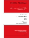 DM1061SET  J.Strau� (Sohn), O sch�ner Mai - Walzer op. 375 f�r gro�es Orchester Stimmensatz