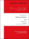 DM1063SET  J.Strau�, Donauweibchen - Walzer op. 427 f�r gro�es Orchester Stimmensatz