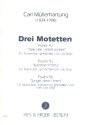 3 Motetten  fr Solo, gem Chor und Orgel, (z.T. Harfe) Partitur