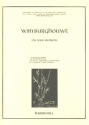 The four Elements for bamboo pipe quartet or recorder quartet (SATB) score and parts