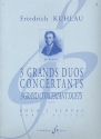 Grand duo concertant op.87,2 pour 2 fltes partition
