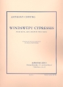 Windswept cypresses pour flute, alto, harpe et percussion partition et parties