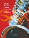 Philippe Geiss, Shiorindia (with electroacoustics) Alto Saxophone Buch + Online-Audio