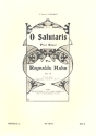 O salutaris pour chant et piano (orgue)