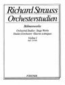 Strauss, Richard: Orchesterstudien aus seinen Bhnenwerken: Violine I  fr Violine