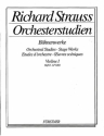 Strauss, Richard: Orchesterstudien aus seinen Bhnenwerken: Violine I  fr Violine
