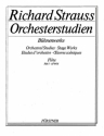 Strauss, Richard: Orchesterstudien aus seinen Bhnenwerken: Flte Vol. fr Flte