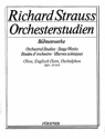 Strauss, Richard: Orchesterstudien aus seinen Bhnenwerken: Oboe Vol.  fr Oboe I/II, Englischhorn I/II, Heckelphon