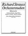 Strauss, Richard: Orchesterstudien aus seinen Bhnenwerken: Oboe Vol.  fr Oboe I/II, Englischhorn I/II, Heckelphon