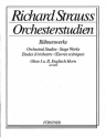 Strauss, Richard: Orchesterstudien aus seinen Bhnenwerken: Oboe Vol.  fr Oboe I/II, Englischhorn I/II, Heckelphon