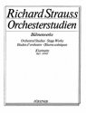 Strauss, Richard: Orchesterstudien aus seinen Bhnenwerken: Klarinette fr Klarinette in B, D, Es