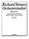 Essberger, Carl / Strauss, Richard: Orchesterstudien aus seinen Bhnen fr Klarinette I in A, B, C