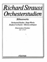 Strauss, Richard: Orchesterstudien aus seinen Bhnenwerken: Klarinette fr Klarinette und Bass-Klarinette