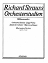 Strauss, Richard: Orchesterstudien aus seinen Bhnenwerken: Klarinette fr Klarinette, Bassetthorn, Bass-Klarinette