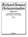 Strauss, Richard: Orchesterstudien aus seinen Bhnenwerken: Horn Vol.  fr Horn