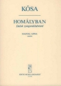 Ksa Gyrgy Homlyban Songs to poems by A. Hajnal Voice and piano