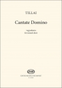 Aurl Tillai Cantate Domino SATB (Stimme)