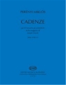 Cadenze per il concerto per pianoforte di J. Haydn per pianoforte