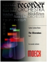 The Silvermines fr Blockfltenorchester Partitur und Stimmen