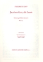 Jauchzet Gott alle Lande op.38,2 Ausgabe B fr hohe Singstimme, Flte und Streicher (Orgel ad lib.),  Partitur