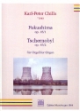 Fukushima op.45,1  und  Tschernobyl op.45,2 fr Orgel