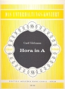 Hora in A: fr Salonorchester
