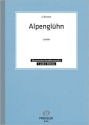 G. Navone Alpenglhn Handharmonika