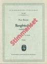 Remar, Peer Bergfrieden Akkordeonorchester Stimmenset