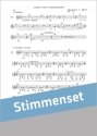 Heinrich J. Hartl Sonate op. 47 Zitherquartett Stimme(n)