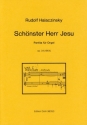 Schnster Herr Jesu op. 34 (1964) -Partita fr O
