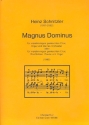 Magnus Dominus fr gem Chor, Kammerorchester und Orgel Chorpartitur