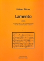 Lamento für Violoncello und Kammerorchester Violoncello solo