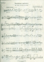 Intermezzo sinfonico aus Cavalleria rusticana fr Streichorchester Stimmensatz (5-4-3-2-1)