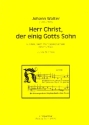 Herr Christ der einig Gotts Sohn fr gem Chor a cappella Partitur