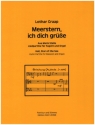 Meerstern, ich dich gre fr Fagott und Orgel