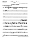 Matthus-Passion (1746)  Stimme(n) Cello obligato