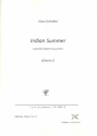 Indian Summer fr 4 Gitarren, Bass und Percussion Gitarre 2