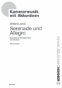 Serenade und Allegro fr Akkordeon-Solo und Orchester Klavierauszug