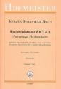 Vergnügte Pleißenstadt BWV216 für Sopran, Alt, Traversflöte, 2 Violinen Viola und Bc,  Instrumentalstimmen