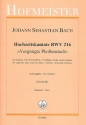 Vergngte Pleienstadt BWV216 fr Sopran, Alt, Traversflte, 2 Violinen Viola und Bc,  Instrumentalstimmen