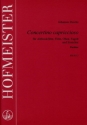 Concertino capriccioso für Blockflöte, Flöte, Oboe, Fagott, Streicher
